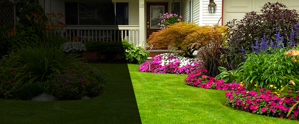 Westford Landscapers