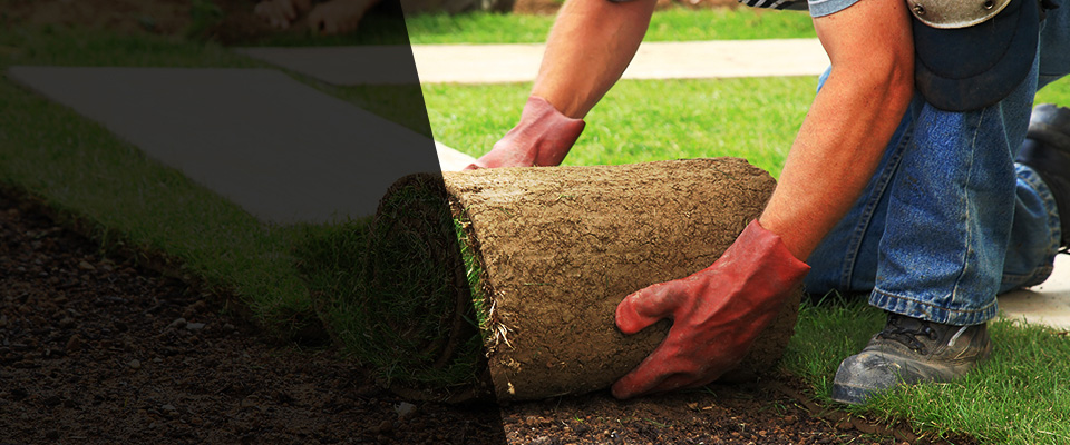 Westford Landscapers